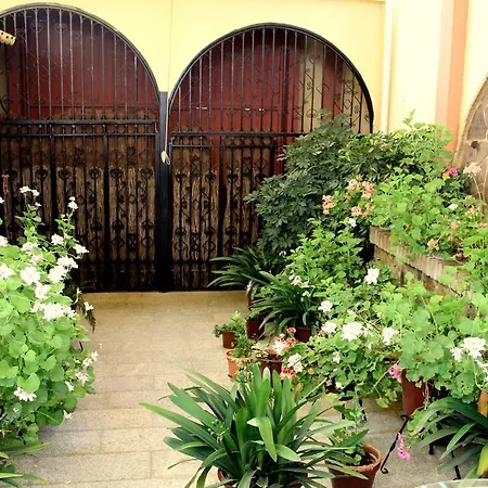 Hotel Maximiano Herculeo 2*
