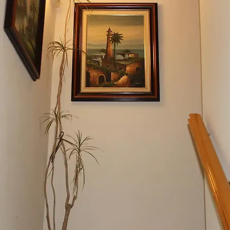 Maximiano Herculeo Hotel 2*