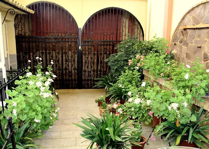 Отель Maximiano Herculeo 2*