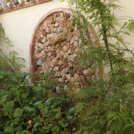 酒店 马克西米亚诺和谷里奥酒店 科爾多瓦