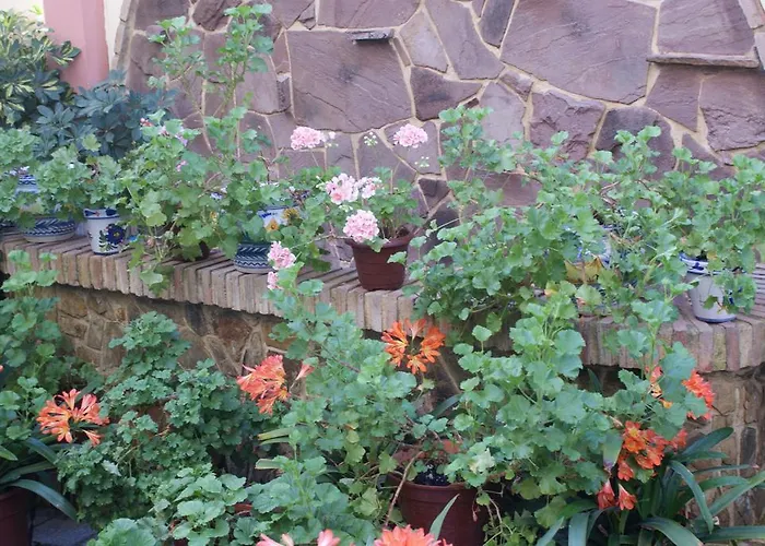 马克西米亚诺和谷里奥酒店 酒店 2*