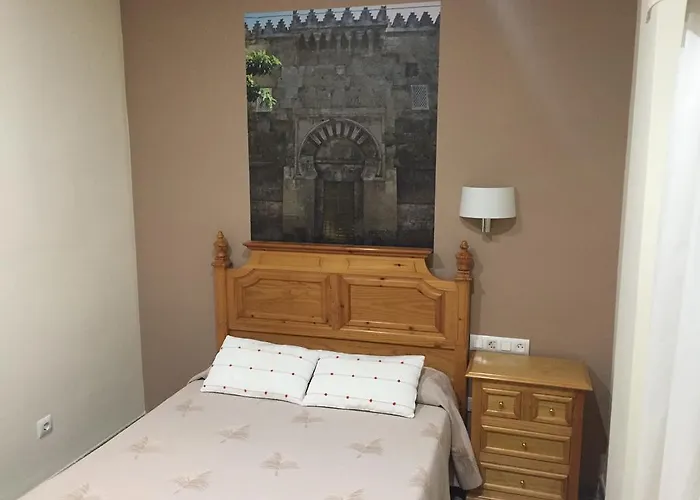 马克西米亚诺和谷里奥酒店 酒店 2*