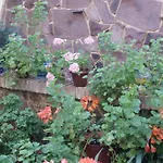 Maximiano Herculeo Отель 2*