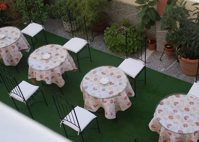 Отель Maximiano Herculeo